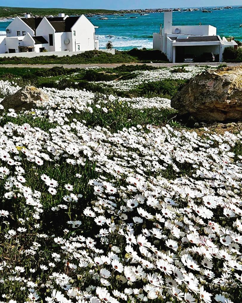 Sonkwas 10 Villa Paternoster Exterior photo
